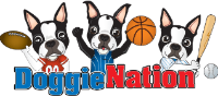 Up To 50% OFF On DoggieNation Clearance Items